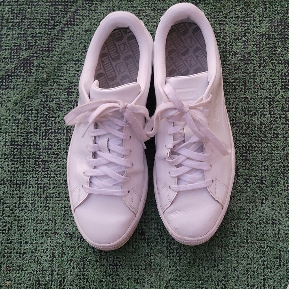 White Puma